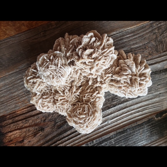 Desert Rose Beautiful Large - Picture 6 of 7